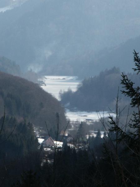 lac gele