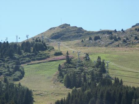 paysage de savoie