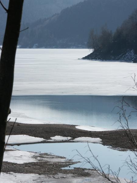 lac gele